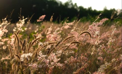 Wildwood Creek Annapolis Royal