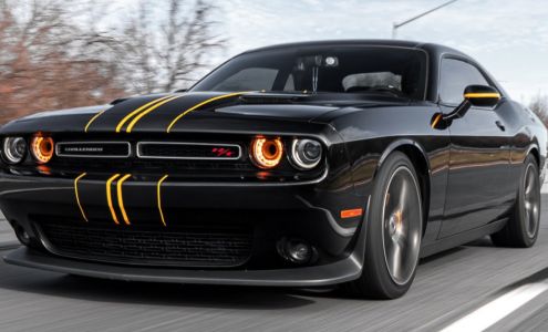 Grizzly Auto Mobile Mechanic