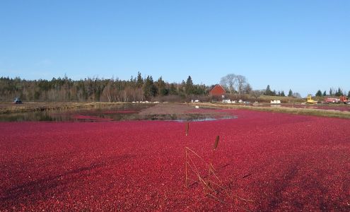 Terra Beata Farms Lunenburg