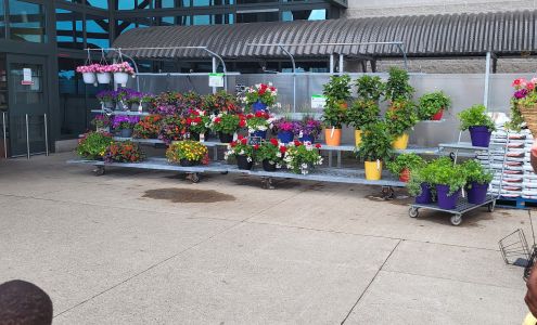 Fortinos Burlington Plains