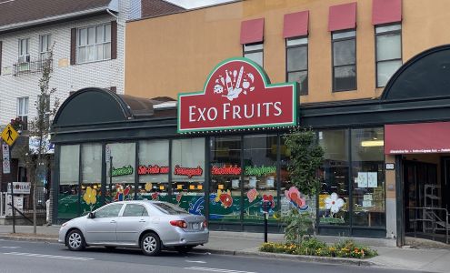 EXO FRUITS