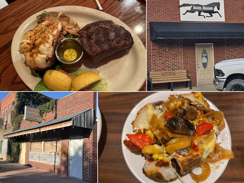 Rusty Duck 723 Marshall St, Dexter