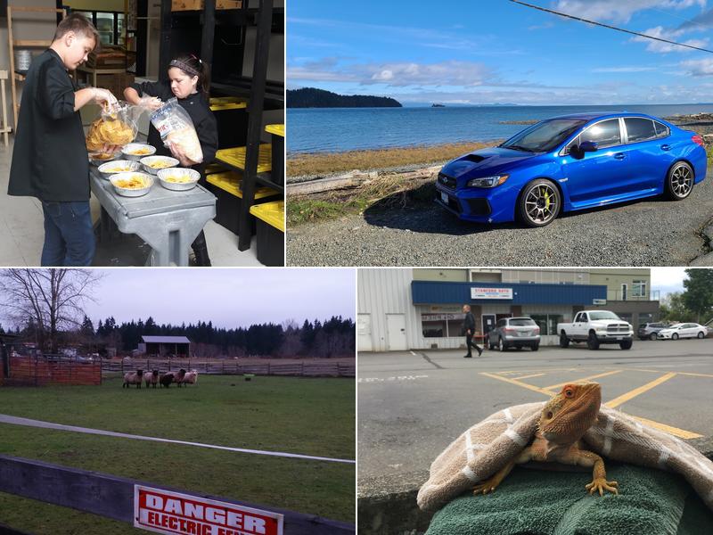 Stanford Auto Centre Inc