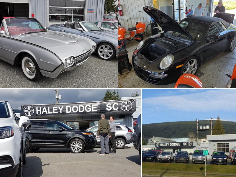 Haley Sc - Dodge