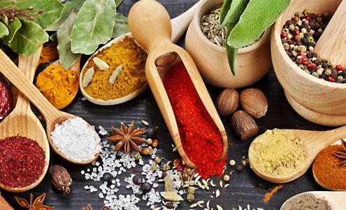 Someday Decisions, LLC