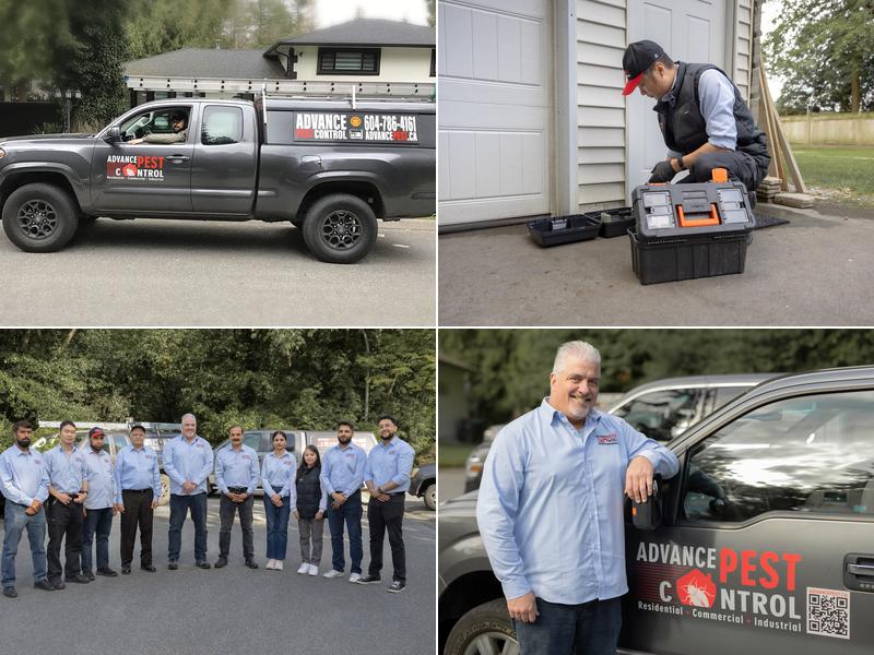 Advance Pest Control Surrey/Langley