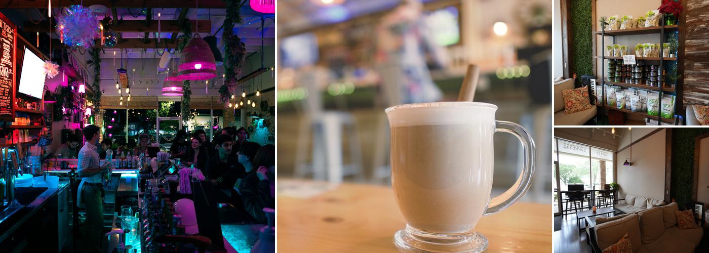 The Muddy Root Kava Cafe