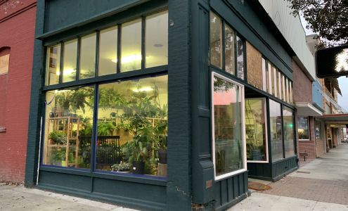 A Modern Plantsman @Kure & Co, 107 S Grand Ave SUITE A, Pullman Washington 99163