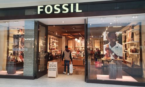 Fossil Store