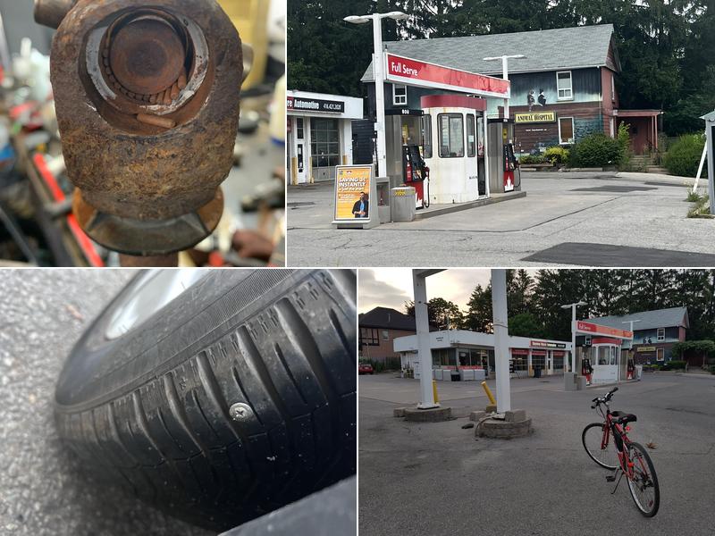 Bayview Moore Automotive Signature Tire