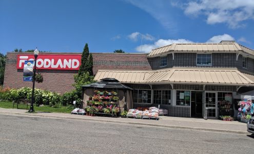 Foodland Mactier MacTier