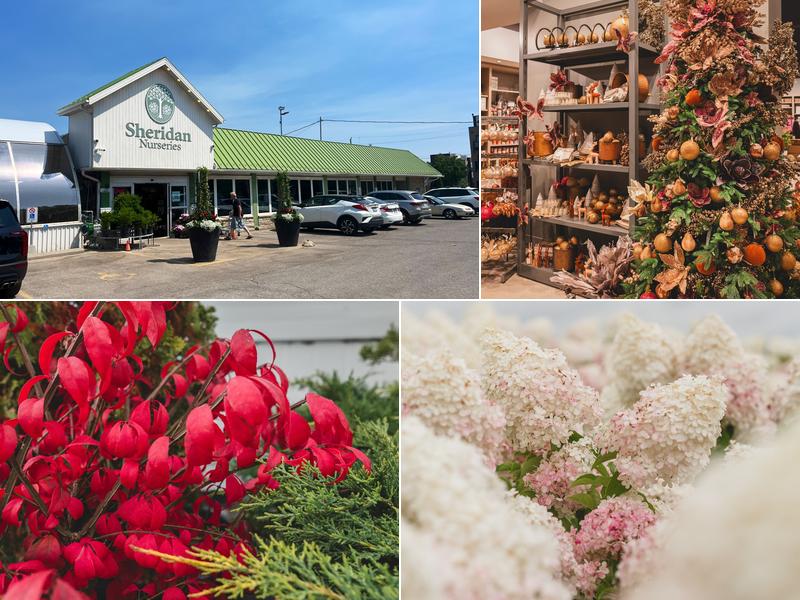 Sheridan Nurseries Limited