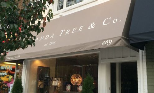 Jacaranda Tree & Co.