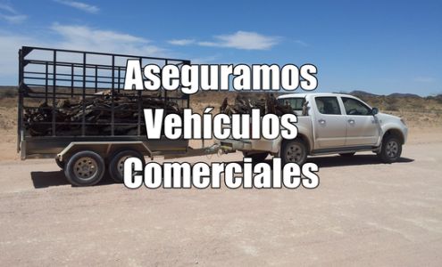 All About Auto Insurance