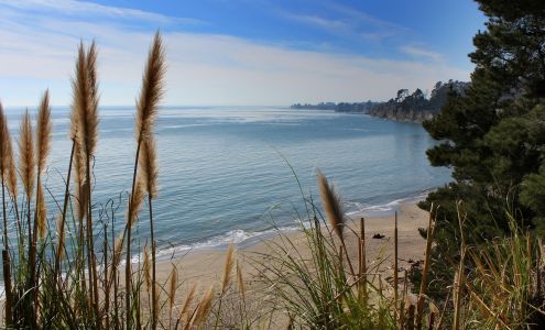 Scott Joly - Real Estate Agent