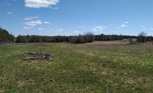Air to Ground Equine Lanark