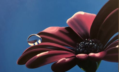 For Art's Sake Studio