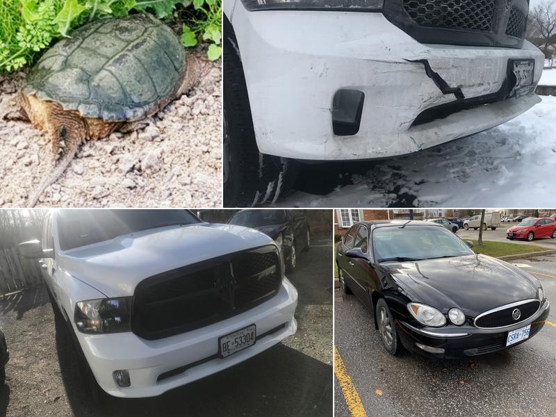 Joe Domitrovic Autobody