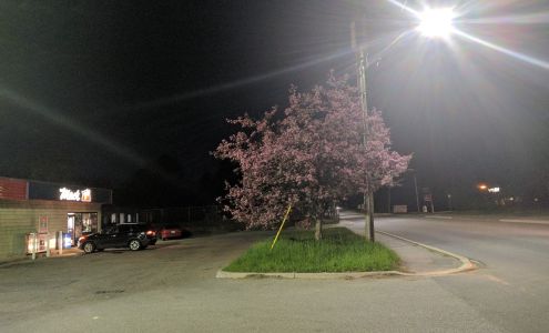 Circle K Bracebridge