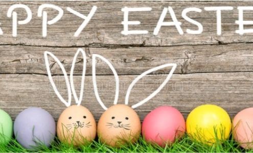 Southern Shipping Solutions