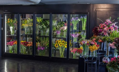 Nature's Wonders Florist Ltd