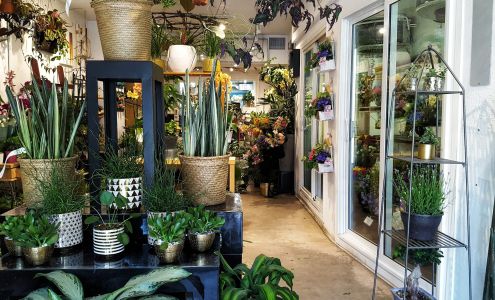 Bill's House Of Flowers