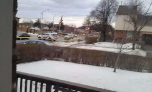 Liz Jewellery & Gifts