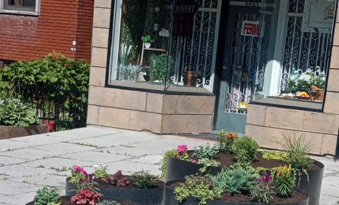 OTA Watchmaker & Jewellry Inc