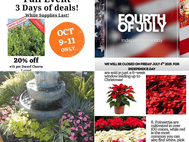 Frantz Garden Center