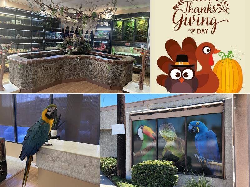 Agustin's Exotic Birds and Reptiles