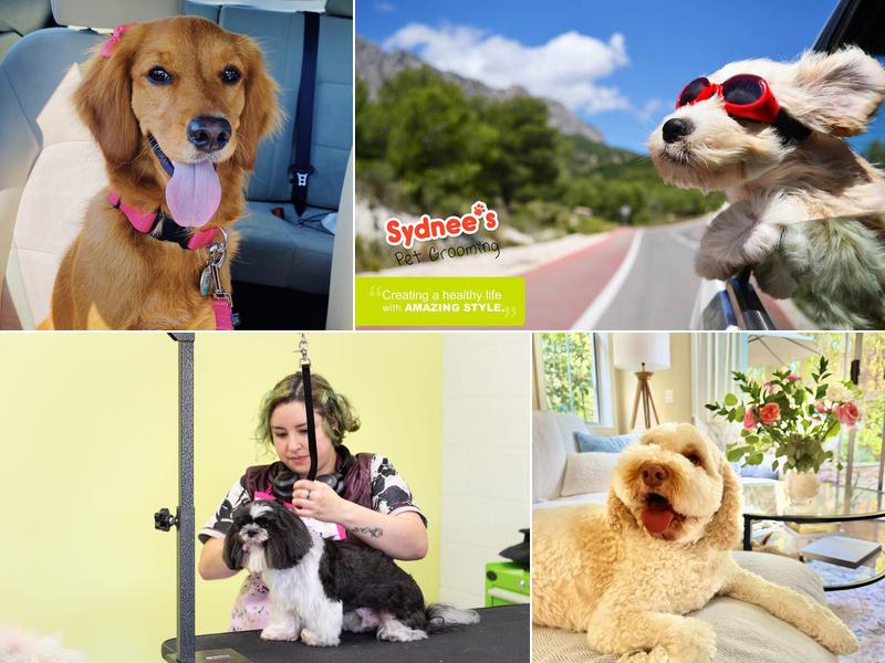 Sydnee's Pet Grooming - Irvine