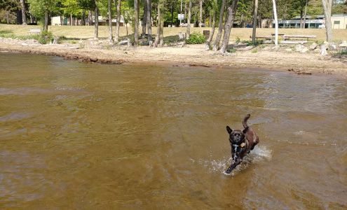Menominee Animal Shelter