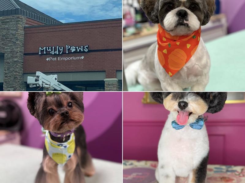 Muddy Paws Pet Emporium