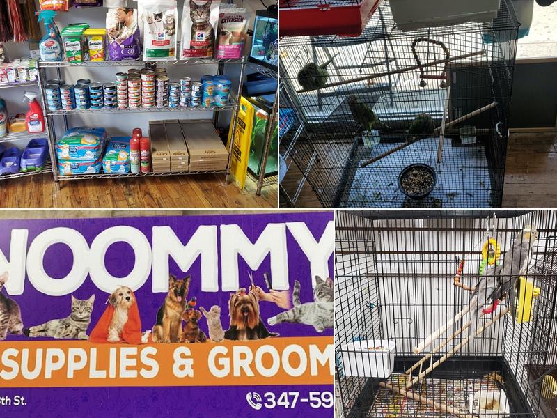 Noommy Inc Petshop & Grooming