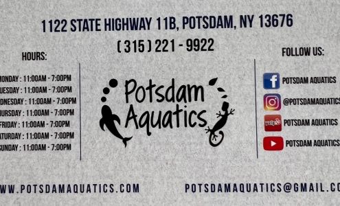 Potsdam Aquatics