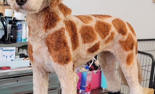 Doggie Styles By Shannon 407-A S Griffin St, Elizabeth City North Carolina 27909