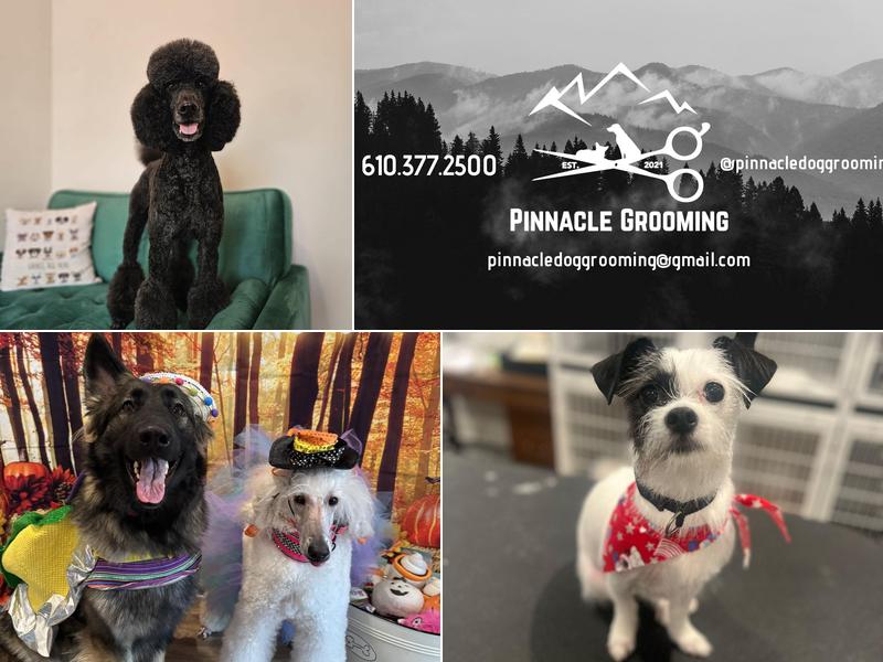 Pinnacle Grooming