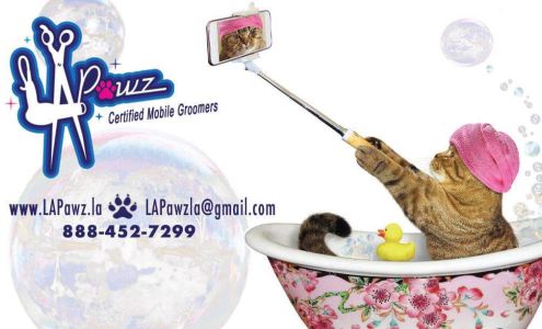 LA Pawz Cat Grooming 615 Old Manchaca Road, Austin Texas 78748