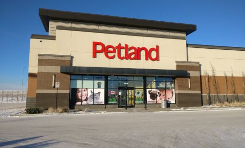 Petland Manning