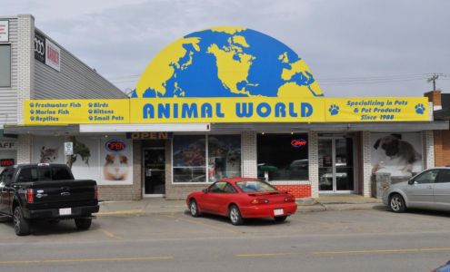 Animal World Medicine Hat