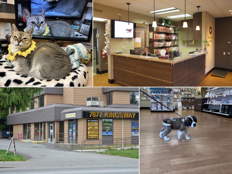 Burnaby New Westminster Animal Hospital