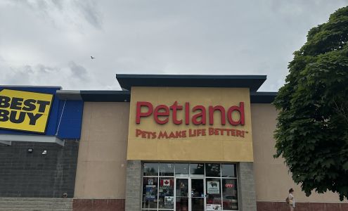 Petland Vernon