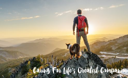 VCA Canada Highlands Animal Hospital 3044 Highland Blvd, North Vancouver British Columbia V7R 2X3