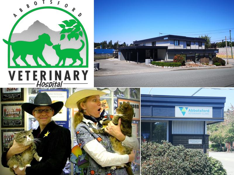 Abbotsford Veterinary Clinic