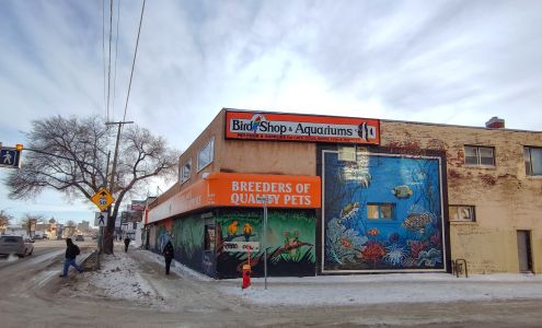 Bird Shop & Aquariums