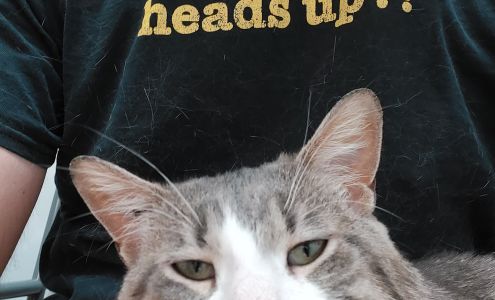 D'Arcy's Animal Rescue Centre