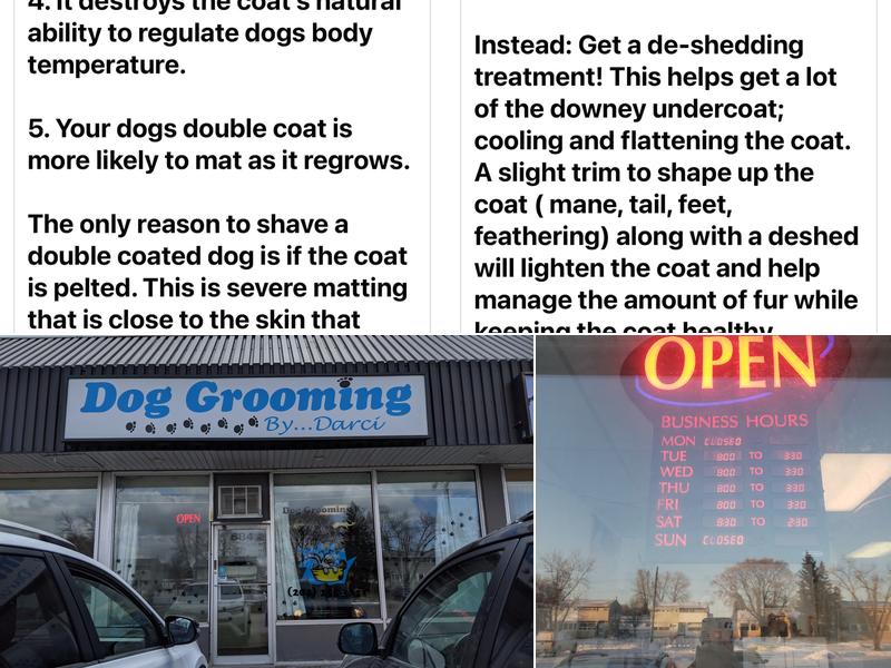 Dog Grooming by Darci
