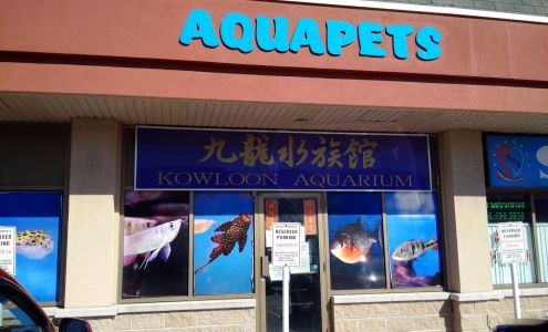 Kowloon aquarium (aquapets)