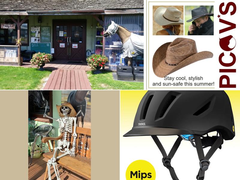 Picov's Horsemen Centre