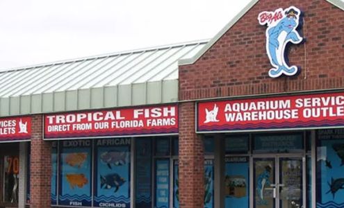 Big Al's Aquarium Supercentres - Newmarket